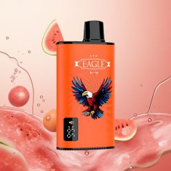 JNR EAGLE Smart 23000 Puffs Chicle de Sandía Pantalla Digital y Bobina Mesh 1.0ohm