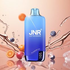 JNR Rainbow 10500 Puffs Helado de Arándano con Batería 600mAh y Tanque 18ml