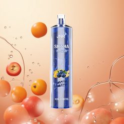 JNR Shisha Hookah 12000 Puffs 24ml Lady Killa Español