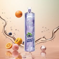 JNR Shisha Hookah 12000 Puffs Menta Arándano 750mAh 24ml